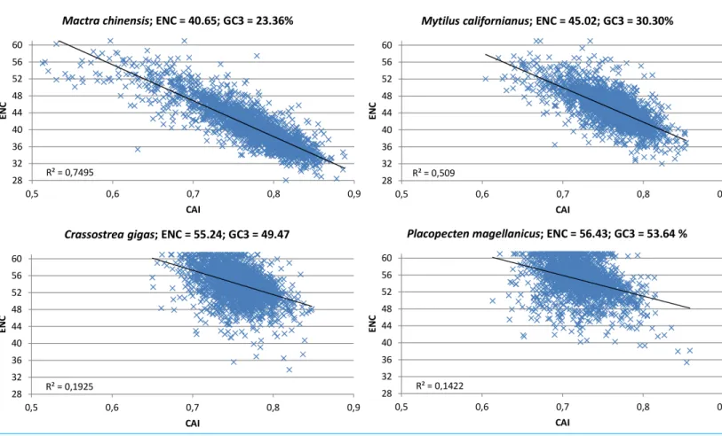 Figure 6 CAI vs. ENC plot. Scatter plot of CAI (X axis) vs. ENC (Y axis) for four representative bivalve species: Mactra chinensis, Mytilus californianus, Crassostrea gigas and Placopecten magellanicus