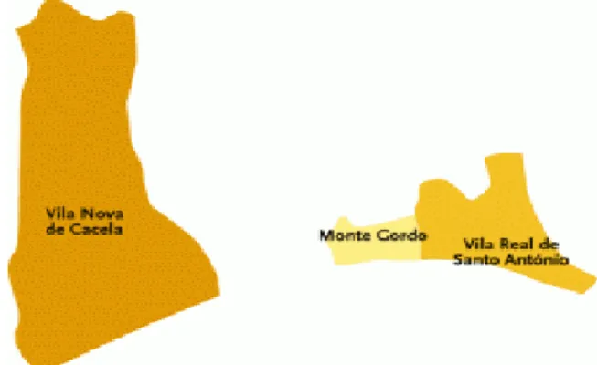 Figura nº 3. 2 – Mapa do concelho de Vila Real de Santo António
