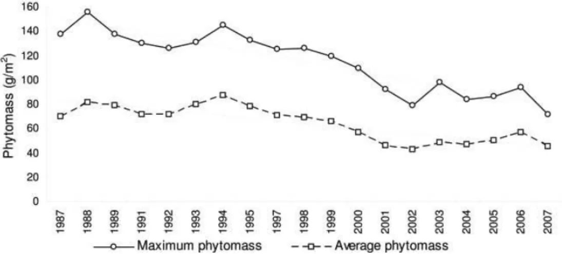 Figure 2. The phytomass dynamics of the herb productivity of a larch forest (1987-2007)