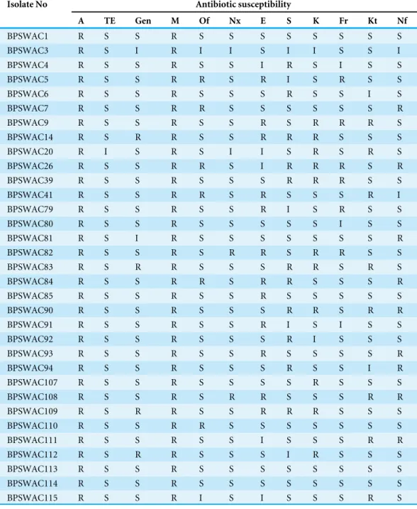 Table 1 Antibiotic sensitivity profile of bacterial isolates against 12 tested standard antibiotics.