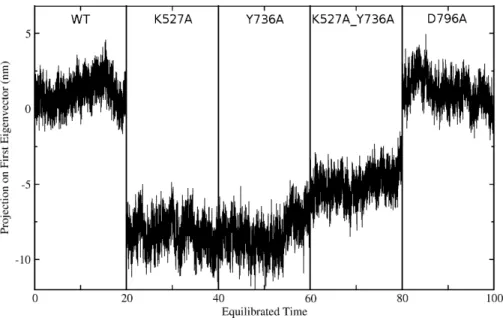 Figure 6 Projection of the first eigenvector of the joined trajectories in the final 20 ns of the equili- equili-brated part of each individual simulation