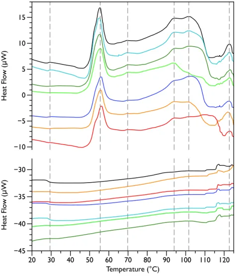 Figure 1 Differential Scanning Calorimetry scans of untreated E. coli JM109 cells. Thermograms for seven different samples, are displayed with an arbitrary vertical offset