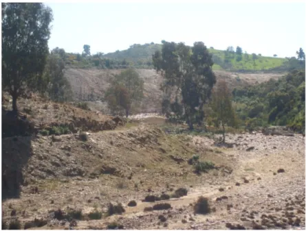 Figura  3 – Exemplo das terras queimadas. (31 de março de 2011, Telheiro – Área Mineira Abandonada de S