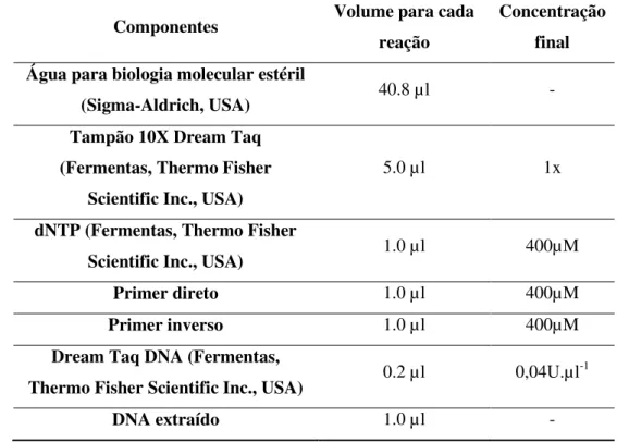 Tabela III – Mistura dos componentes usados para a amplificação por PCR. 