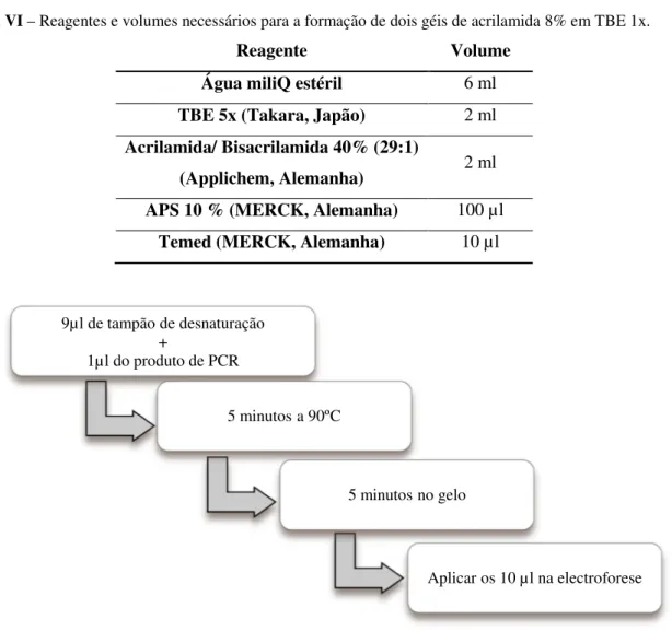 Tabela VI – Reagentes e volumes necessários para a formação de dois géis de acrilamida 8% em TBE 1x