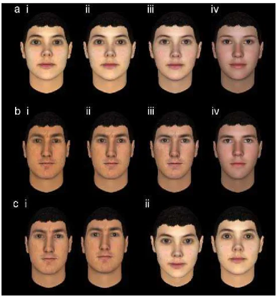Figure 1. Examples of the stimuli as presented in: (a) &amp; (b) the ratings tasks; (a)i, (a)ii,  (a)iii &amp; (a)iv examples of unattractive, real, attractive and average female faces and (b)i,  (b)ii, (b)iii &amp; (b)iv examples of unattractive, real, at