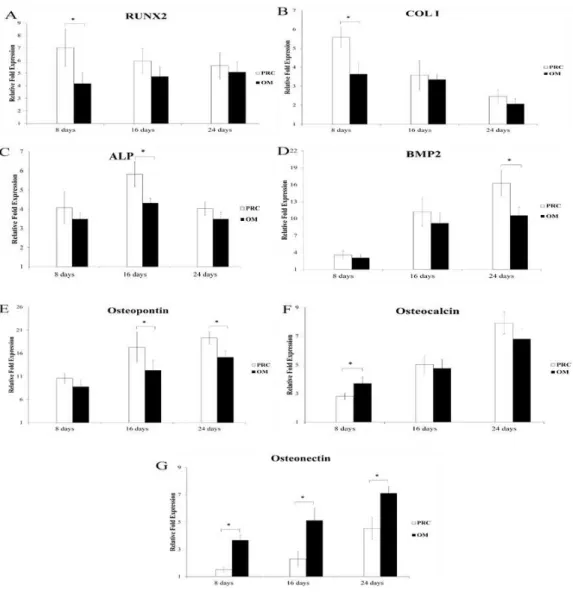 Figure 2 Expression of osteogenic genes throughout the experiment. PRC significantly increased the expression of Runx2 (A) , Col I (B), ALP (C), BMP2 (D) and osteopontin (E) compared to the osteogenic medium (OM) at various specific time points