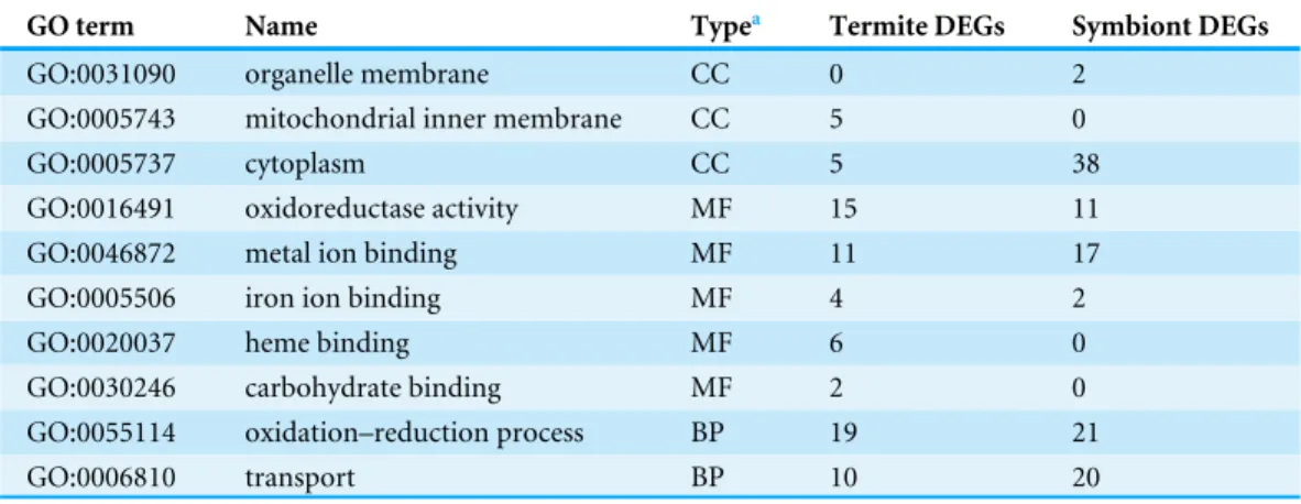Table 4 Common enriched GO terms and number of DEGs derived from termites and symbionts.
