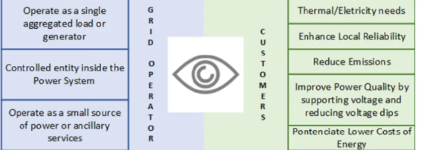 Figure 6. Grid operator’s and customers’ points of view about microgrids. 