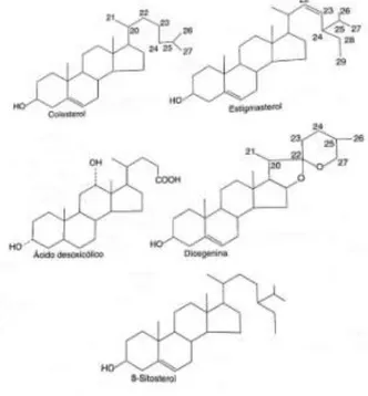 Figura  5  –  Alguns  substratos  para  produção  de  hormônios esteroides 