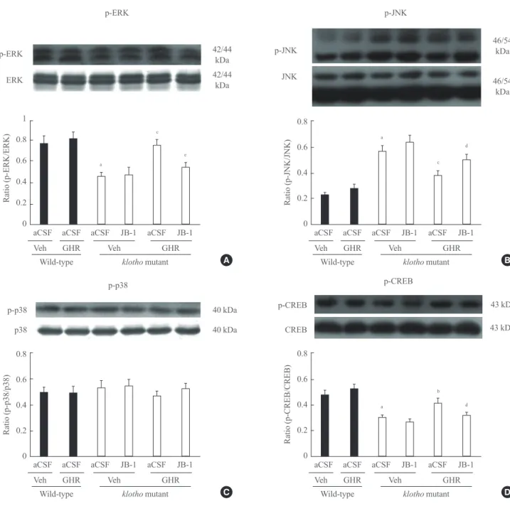 Fig. 4.  Effect of JB-1, an insulin-like growth factor-1 (IGF-1) receptor antagonist, on the growth hormone (GH)-releaser diet-mediated  attenuation of changes in the expression of (A) phospho-extracellular signal-related kinase (p-ERK), (B) phospho-c-jun 
