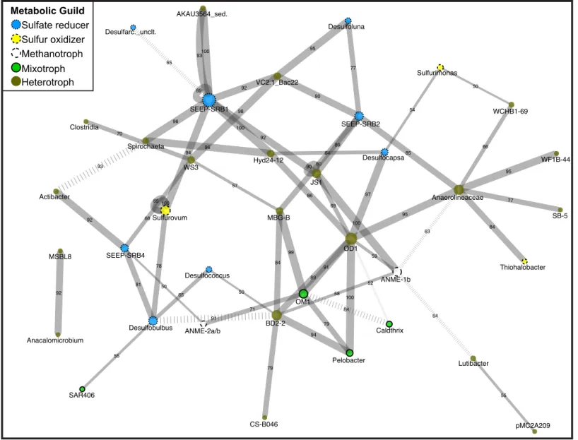 Figure 1 Network diagram of Magneto-FISH and bulk sediment samples. Co-occurrence analysis of the top 135 unique OTUs displayed in net- net-work form