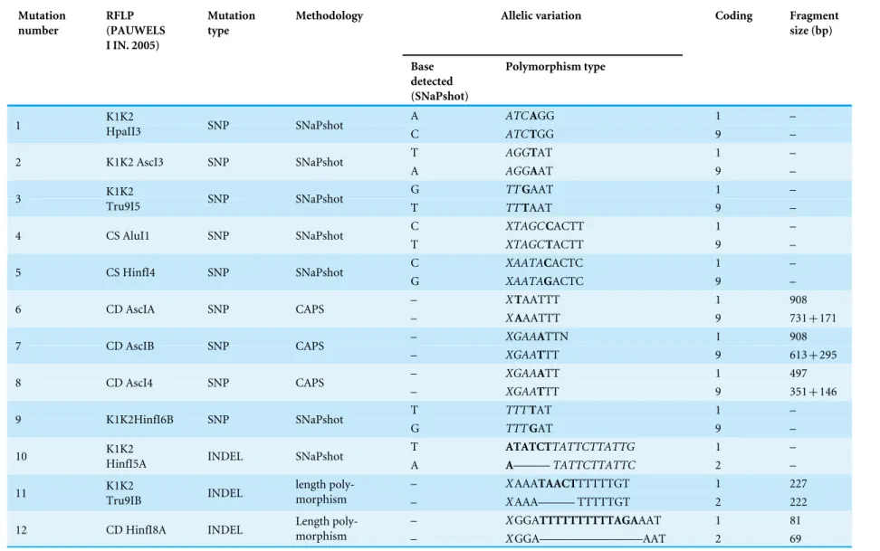 Table 2 cpDNA polymorphism observed in investigated material. Observed mutations were numbered from 1 to 12 (numbers correspond with those given in Fig