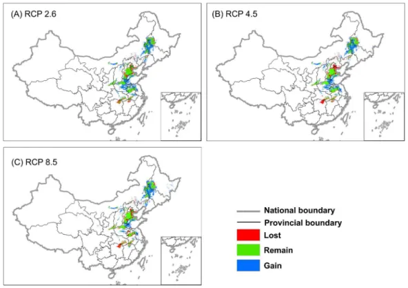 Table 2 and Fig. 3 show that 23 to 31% of the original suitable wintering habitats would be lost depending on RCP scenario (Table 2)