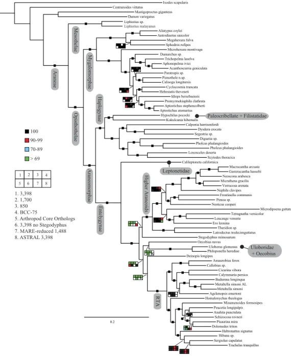 Figure 2 Summary of phylogenomic analyses (matrices outlined in Table 2) summarized on the phylo- phylo-genetic hypothesis based on ExaML analysis of dataset 1 (3,398 OGs)
