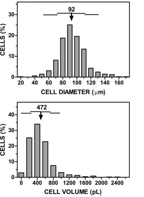 Figure 2 Representative graph of cell size (diameter, volume) vs . cell numbers representation obtained applying the cell extraction procedure described in the text to a sample of epididymal adipose tissue.