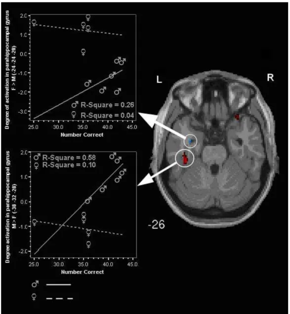 Figure 6.  Degree of activation as a function of performance (number correct  responses) in the parahippocampal gyrus during MR for males and females