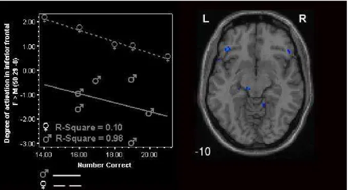 Figure 8.  Degree of activation as a function of performance (number correct  responses) in the inferior frontal gyri during SWM test correct + incorrect vs