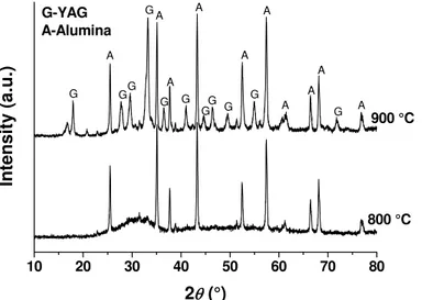 Fig. 2. XRD patterns of infiltrated alumina perform pieces sintered at 800  o C and 900  o C
