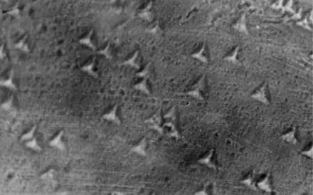 Fig. 3. The microscopic image of the surface CaF 2  crystal plate in the direction <111>
