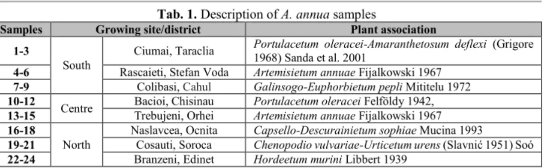 Tab. 1. Description of A. annua samples 