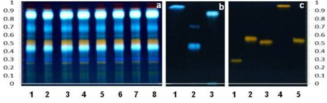 Fig. 2. TLC chromatogram for phenolic acids and flavonoids of A. annua samples.  