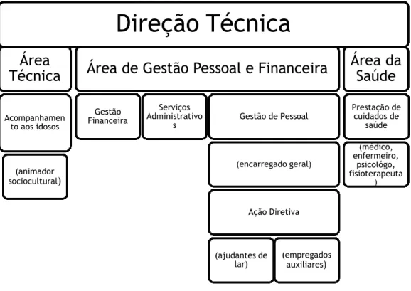 Figura 7: Organograma Geral das categorias profissionais dos lares da terceira idade 