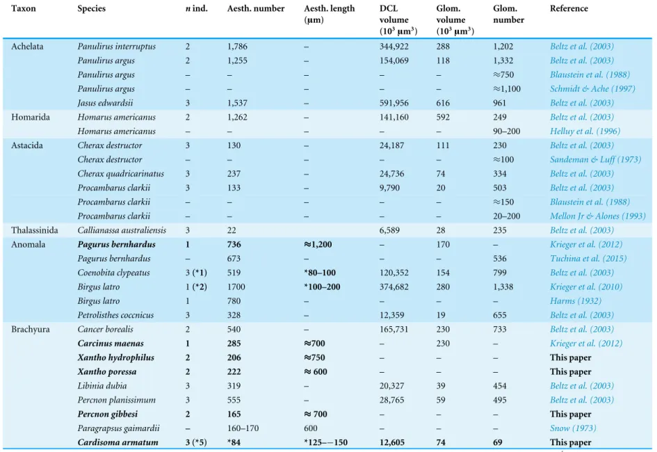 Table 2 Morphometric data of structures within the peripheral olfactory pathway and of the primary olfactory centers in the brain of decapod crustaceans.