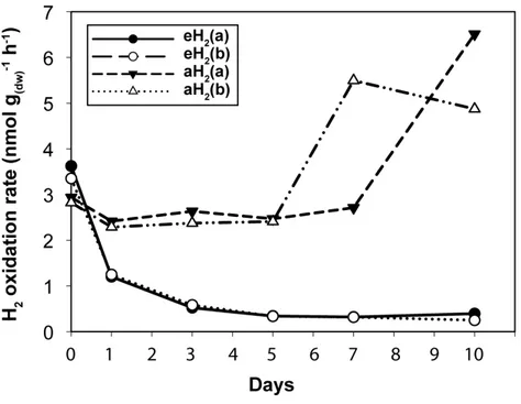 Figure 1 High affinity H 2 oxidation rates. Time series of the high-affinity H 2 oxidation rate measured in soil microcosms exposed to aH 2 or eH 2 throughout the incubation period.