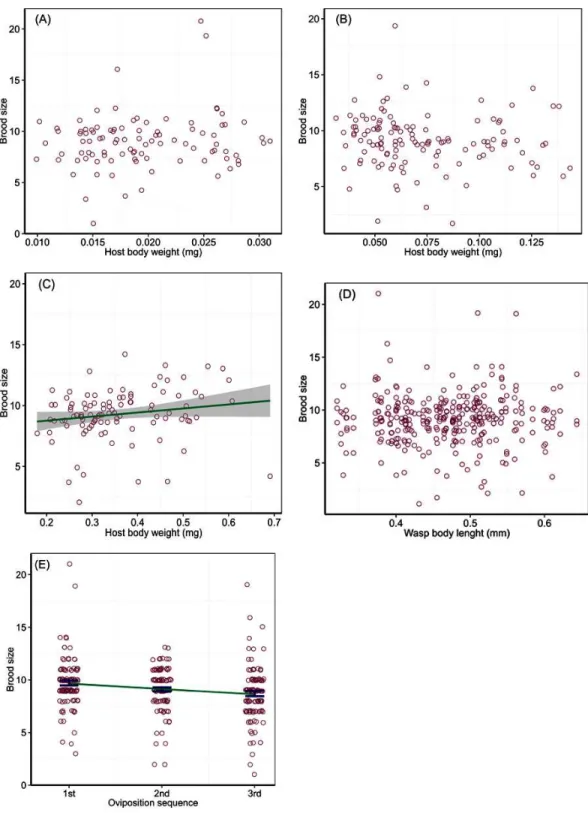 Figure 1 Number of wasps emerged per host (brood size) in relation to host quality and wasp traits.