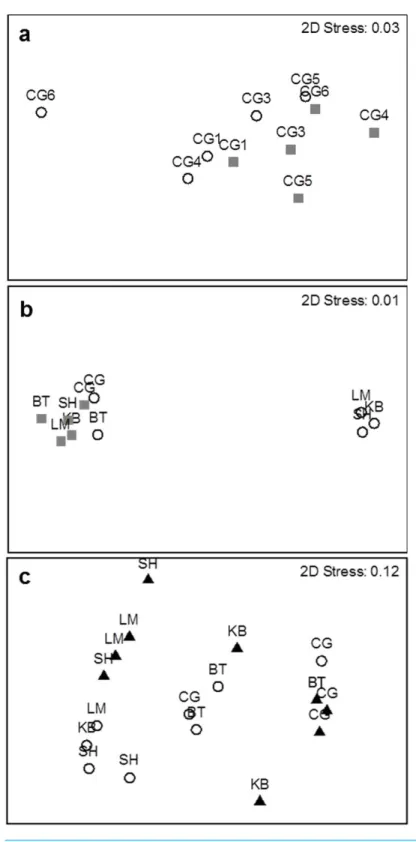 Figure 3 MDS plots showing groupings of species composition by study site between (A) different sur- sur-vey methods (open circles = visual survey, grey squares = beach seine) within an estuary (n = 5), (B) among estuaries (n = 5), and (C) different habita