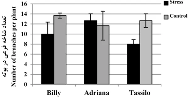 Fig. 2. interaction between drought treatments (control  and stress) and rapeseed cultivars (Billy, Adriana and  Tassilo) for seed weight, number of sacs per plant and  number of branches per plan
