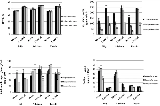 Fig. 1. Interaction between drought treatments (control and stress) and rapeseed cultivars (Billy, Adriana and  Tassilo) for % RWC, stomatal conductance, proline, total sugar 7, 12 and 26 days after drought stress.