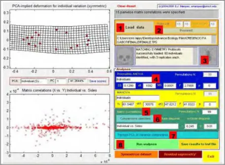 Fig. 3 Overview of the schematic flow of shape analysis using SAGE. 