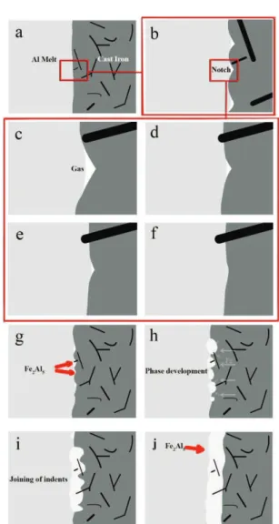 Figure 11. Schematic picture of graphite’s encapsulation at the interface of Al-C.I.