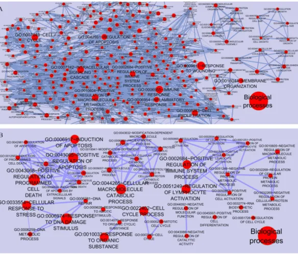 Figure 3 Functional categories of the networks were visualized using the Enrichment map plugin of the Cytoscape