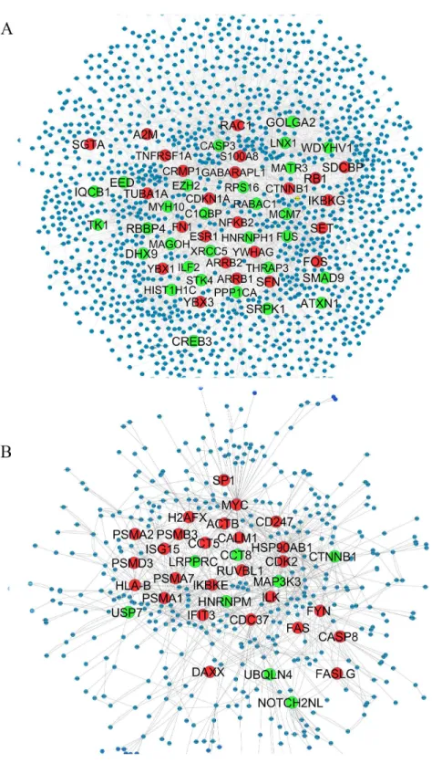 Figure 2 QQPPI networks generation by mapping of differentially expression genes on PPI data