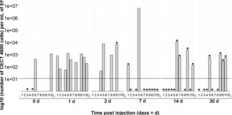 Figure 5 Kinetics of clam infection by CECT4600 T V. tapetis strain by virB4 real-time PCR in extrapallial fluids sampled at 0, 1, 2, 7, 14 and 30 days post-injection
