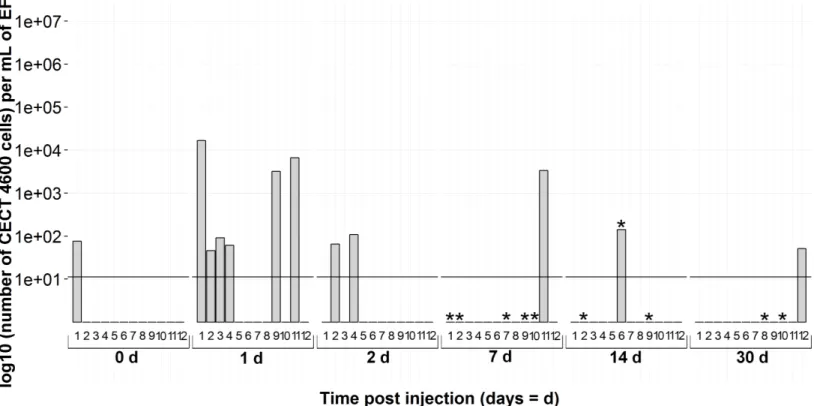 Figure 7 Kinetics of FSW-injected clams by virB4 real-time PCR in extrapallial fluids sampled at 0, 1, 2, 7, 14 and 30 days of sampling during the experiment