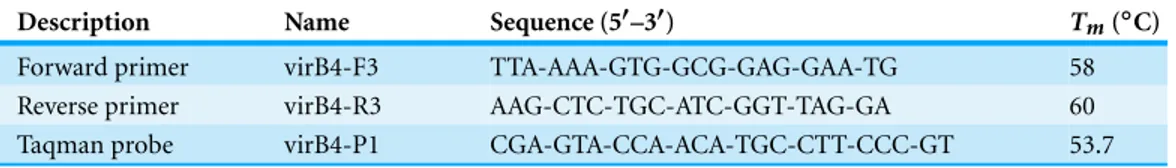 Table 2 Nucleotide sequences and melting temperatures (T m ) of primers and probe designed for real-time PCR reaction, targeting the virB4 gene.