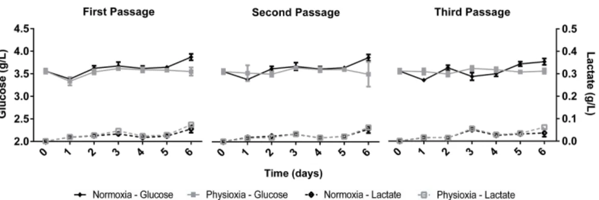 Figure 2 Glucose uptake and lactate concentration in the supernatant of NPCs grown in physioxia (gray lines) and normoxia (black lines) throughout the first, second, and third passages.