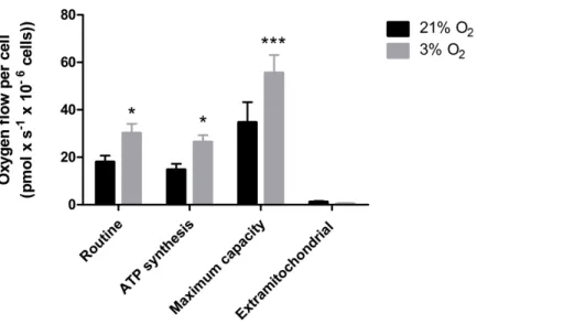 Figure 4 Oxygen uptake quantification of NPCs grown either in physioxia (gray bars) or normoxia (black bars) by high-resolution respirometry, providing the following parameters: routine  respira-tion, oxygen consumption dedicated to ATP synthesis, maximum 
