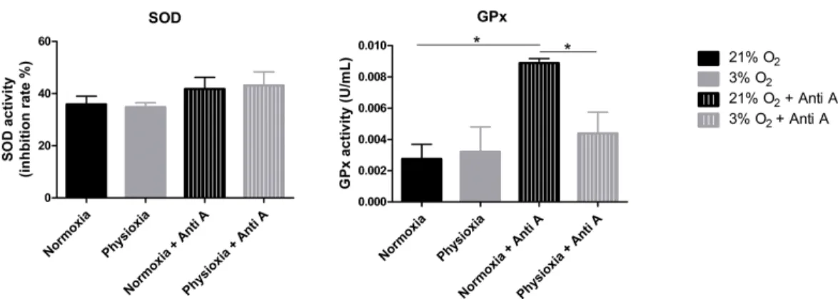 Figure 6 Enzymatic activity of the antioxidant enzymes superoxide dismutase (SOD) and glutathione peroxidase (GPx)