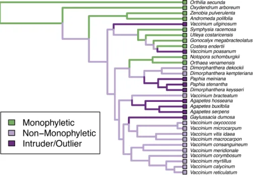 Figure 1 Monophyly plot of the genera of Ericaceae. Close-up on subfamily Vaccinioideae only.