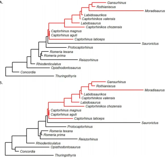 Figure 3 The shift in rate of body size evolution, identified by fitting the TM1 model to the phylogeny of Captorhinidae