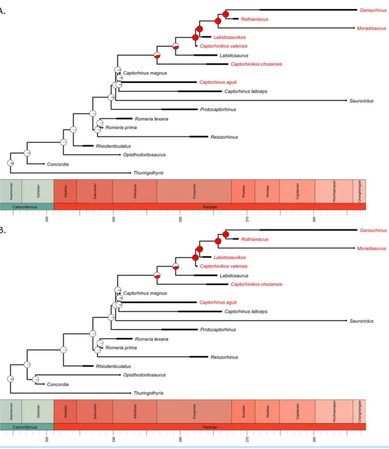 Figure 6 The evolution of multiple tooth rows in the Captorhinidae. Two of the 100 time calibrated phylogenies used in this analysis