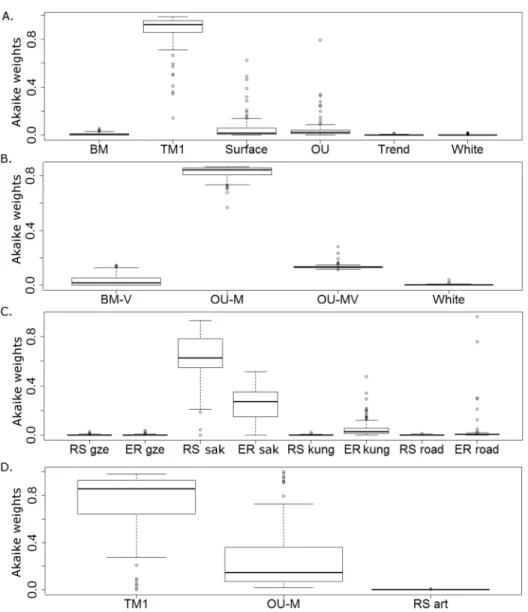 Figure 2 The fit of models of body size evolution to the phylogeny of Captorhinidae. Boxplots showing the distribution of 100 Akaike weight values calculated for each model representing the fit of each model of body size evolution to the 100 time calibrate