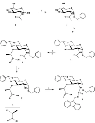 Figure  1.  Synthesis  of  protected  muramic  derivative 6  from  N-acetylglucosamine  (1)