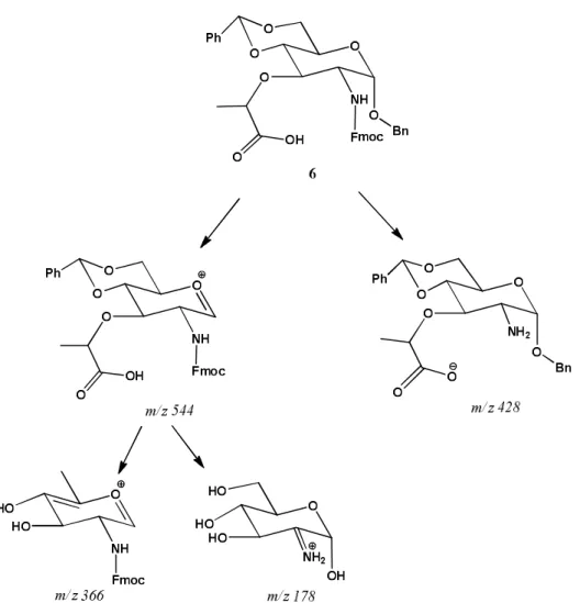 Figure 3. Fragmentation pattern of compound 6. 