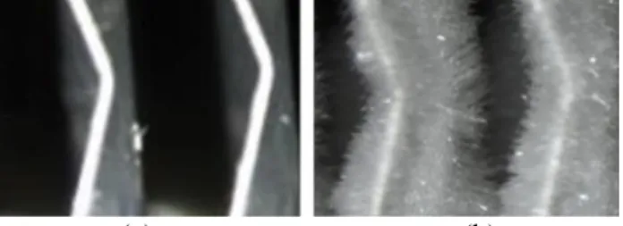 Figure 1: Visualization of fins surface before (a) and after (b) the frost formation process (adapted from [3])